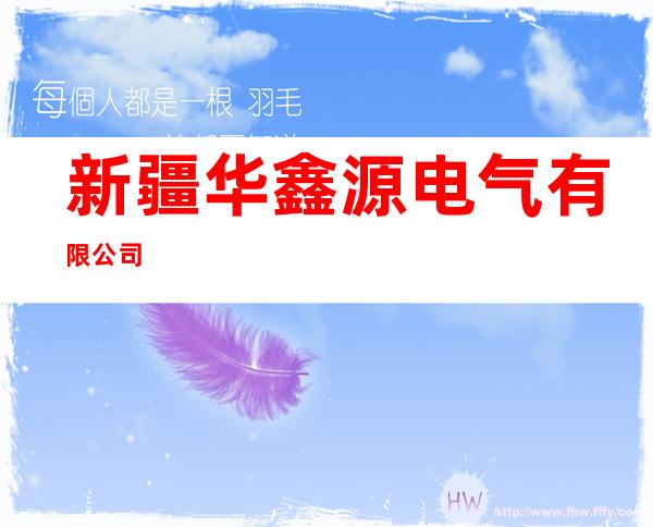 新疆华鑫源电气有限公司